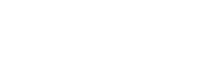GAGAKU EXPERIENCE by ANDNEXT, Inc.（簡体版）